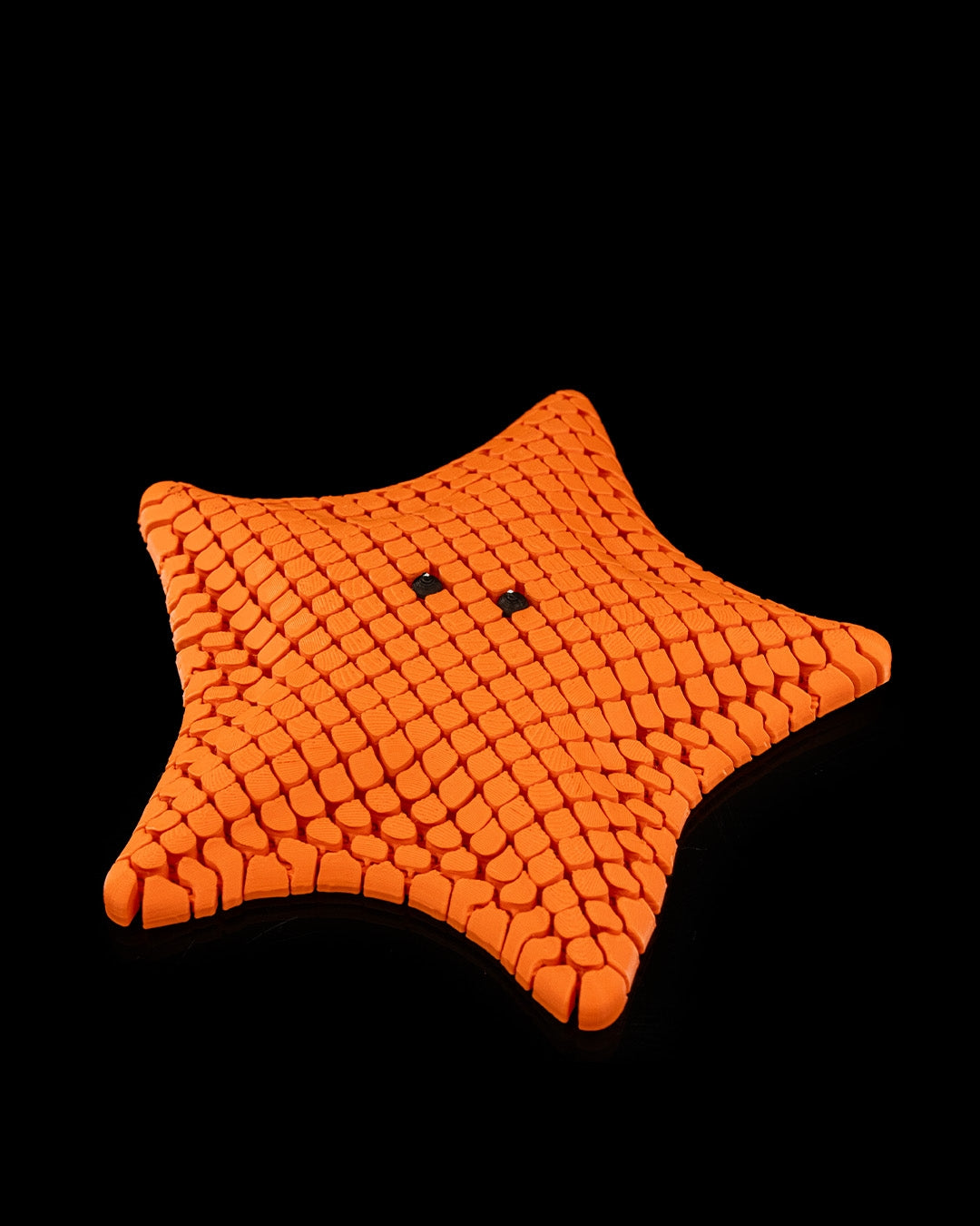 3D Printed Sea Star