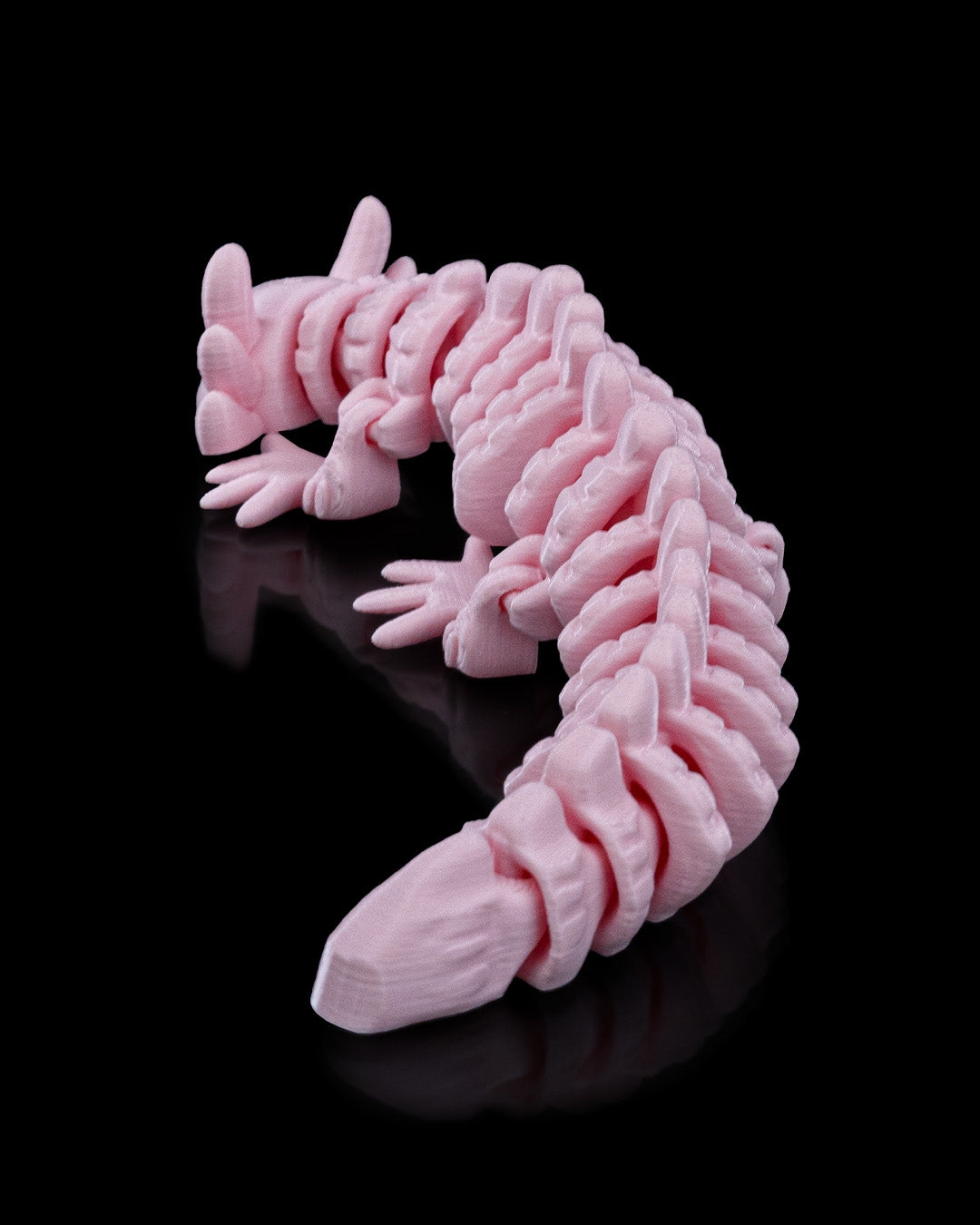 Axolotl