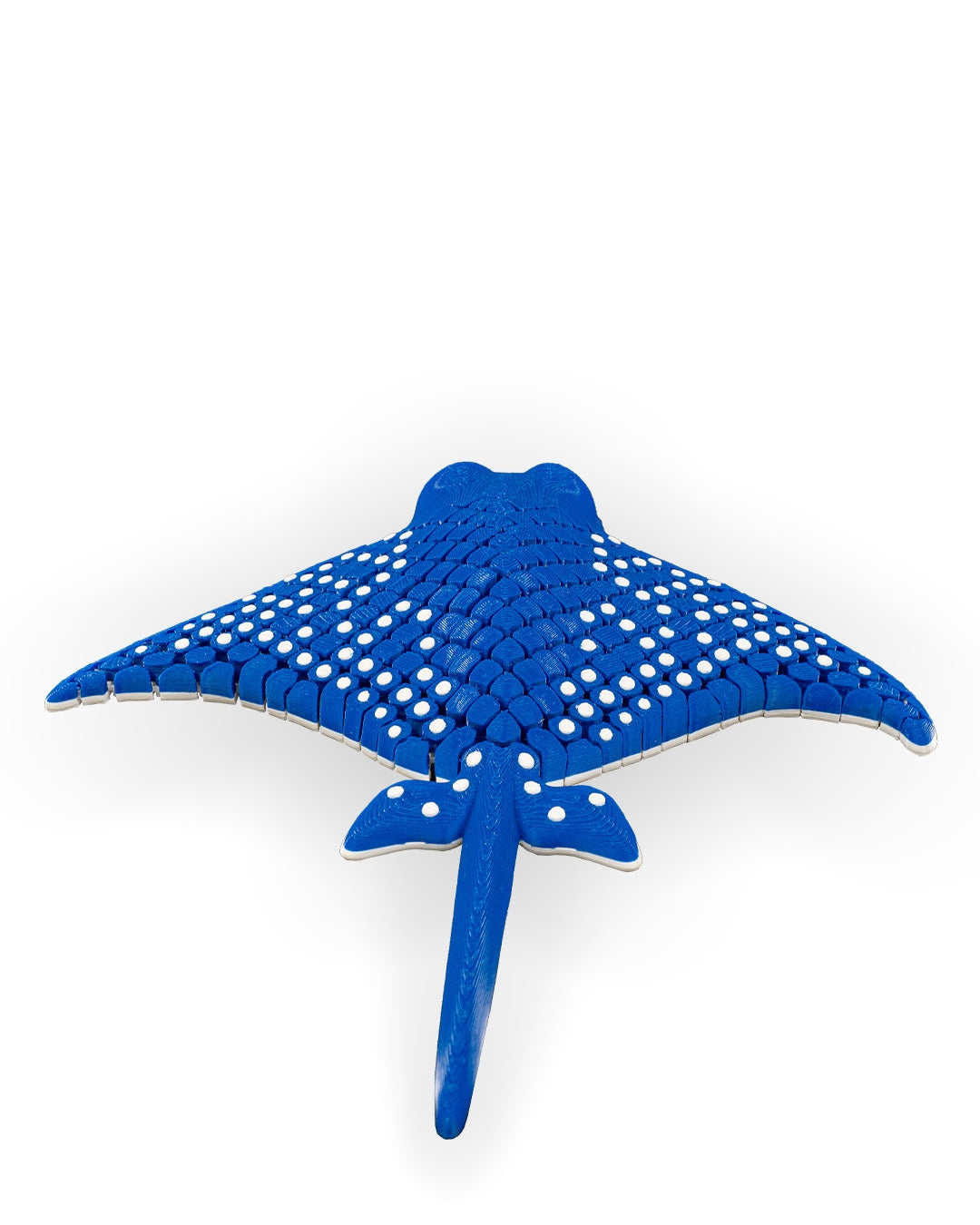 Eagle Ray