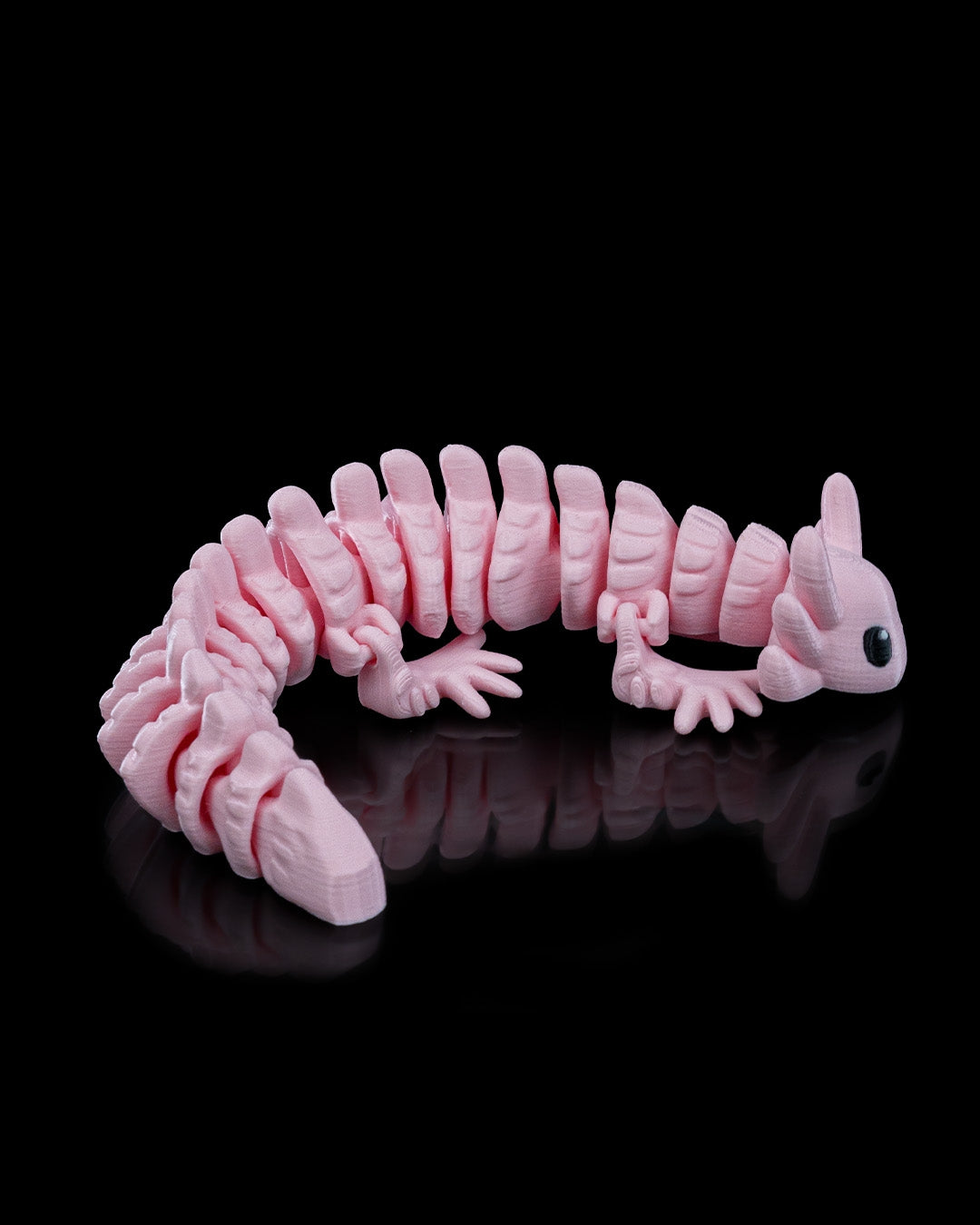 Axolotl