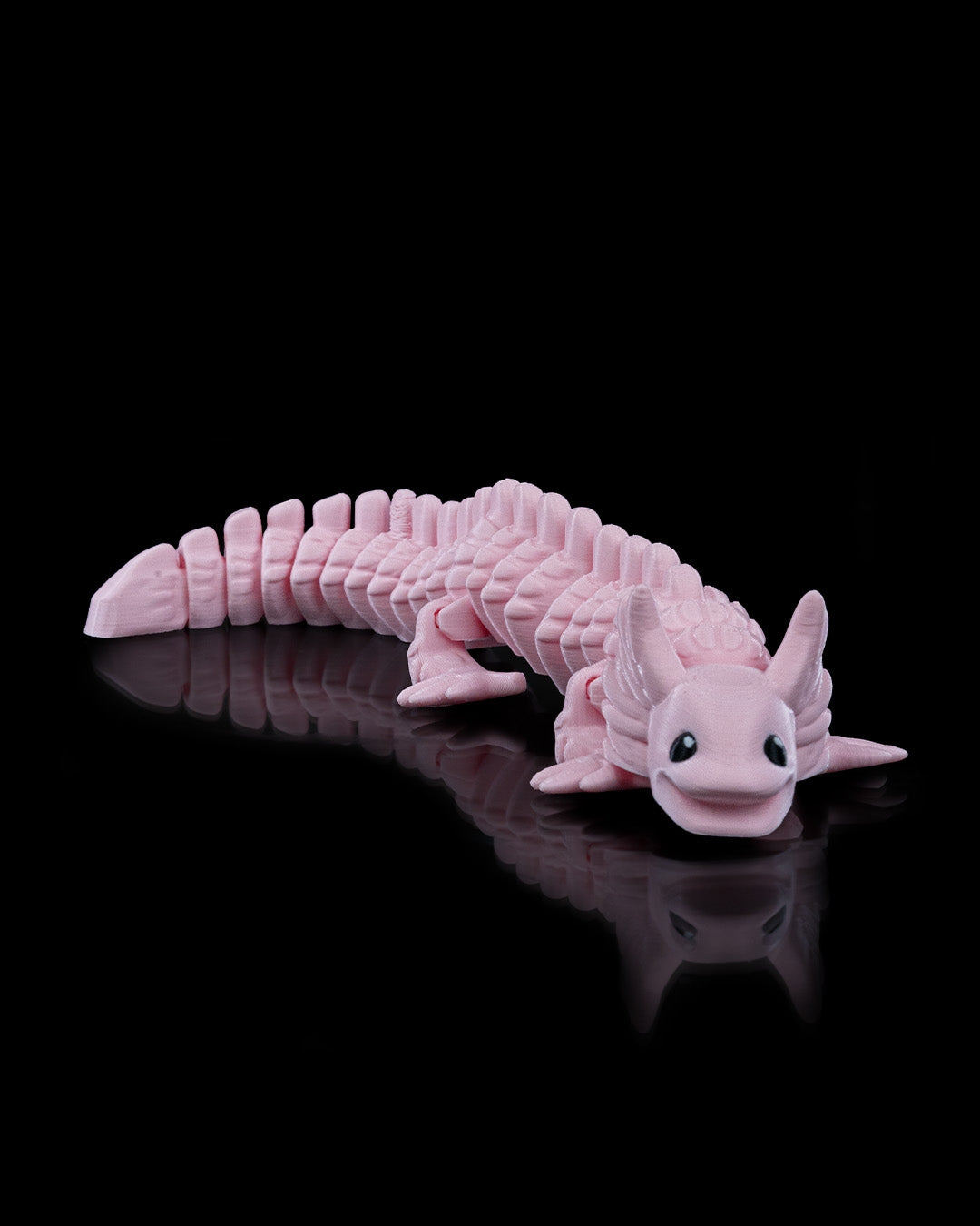 Axolotl