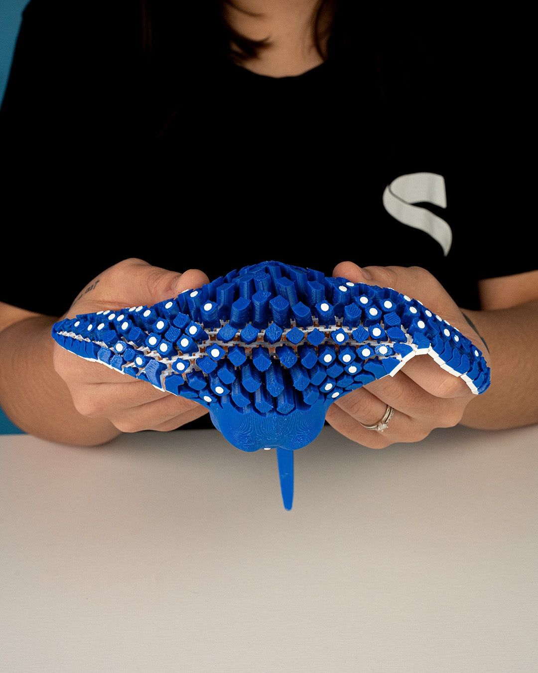 Eagle Ray