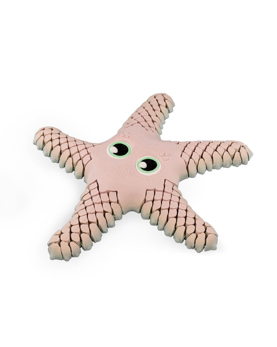 Sandy sea star