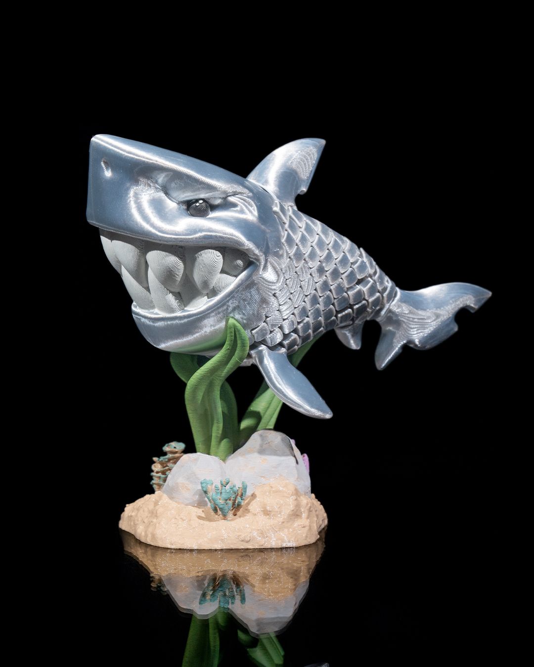 Travis the Great White Shark