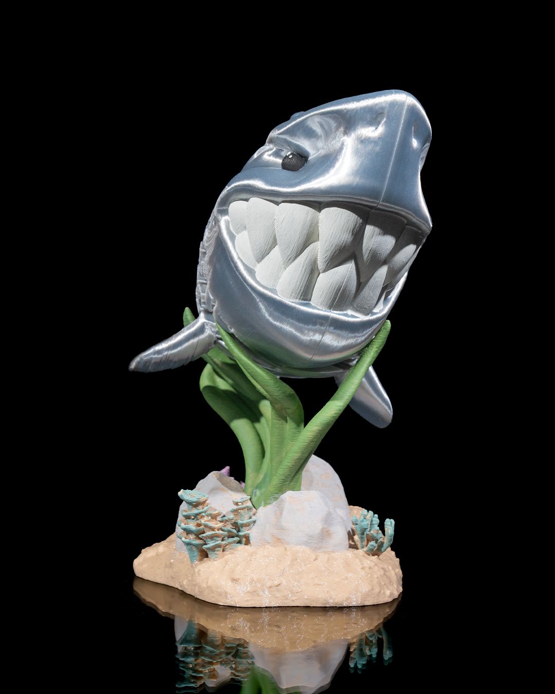 Travis the Great White Shark