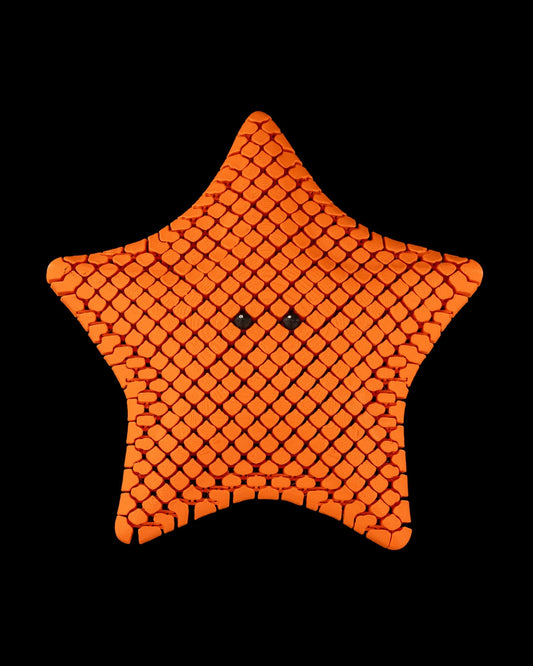 3D Printed Sea Star