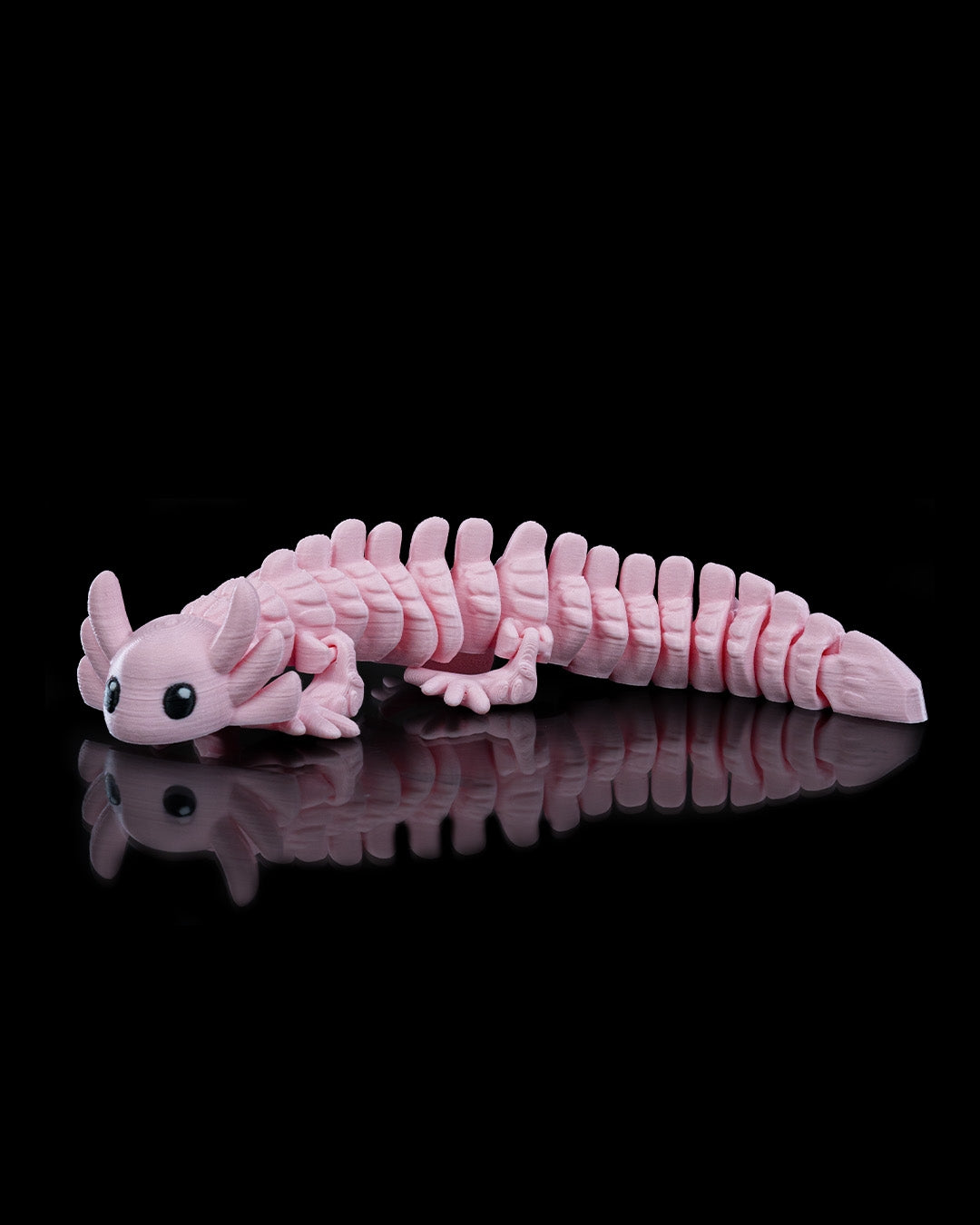 Axolotl