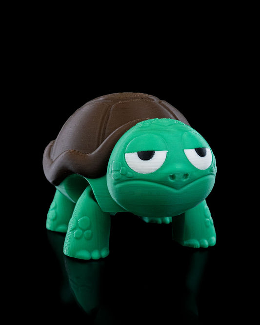 Not Impressed Turtle