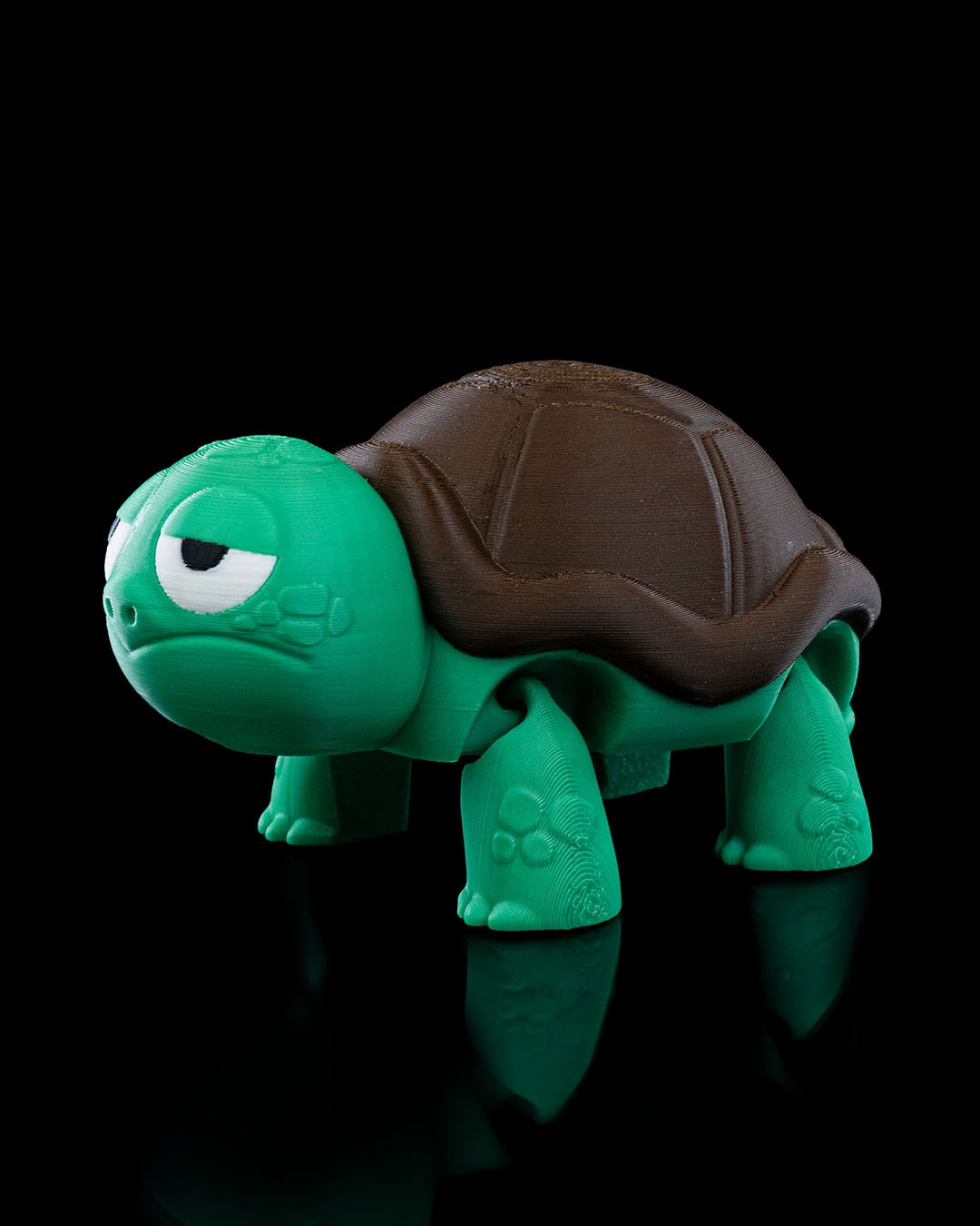 Not Impressed Turtle