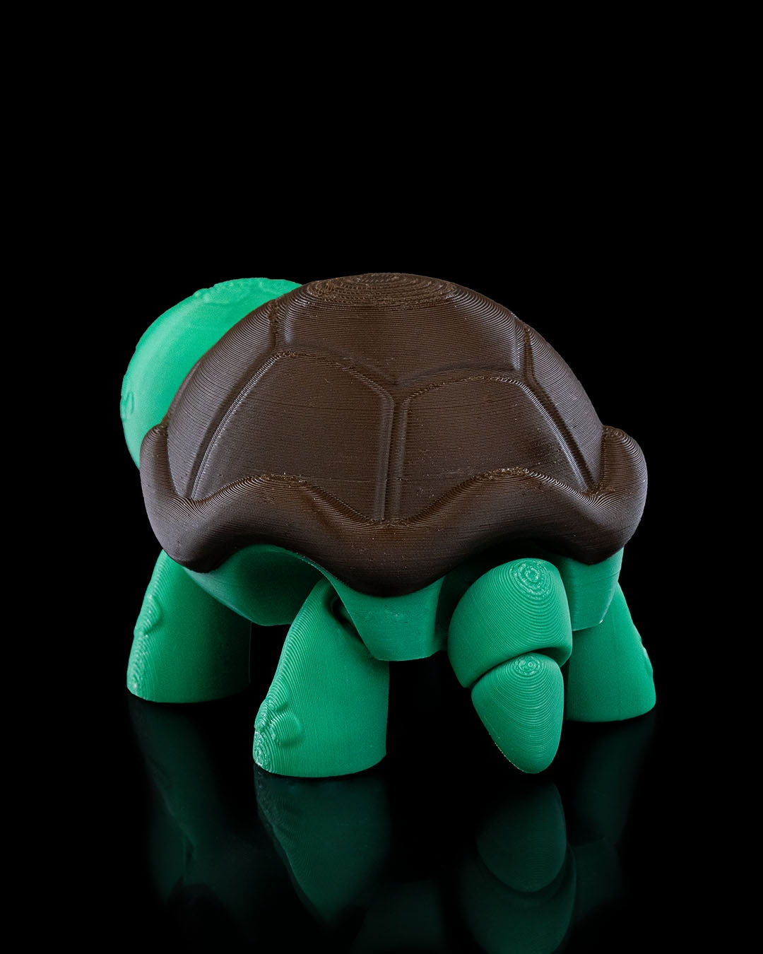 Not Impressed Turtle