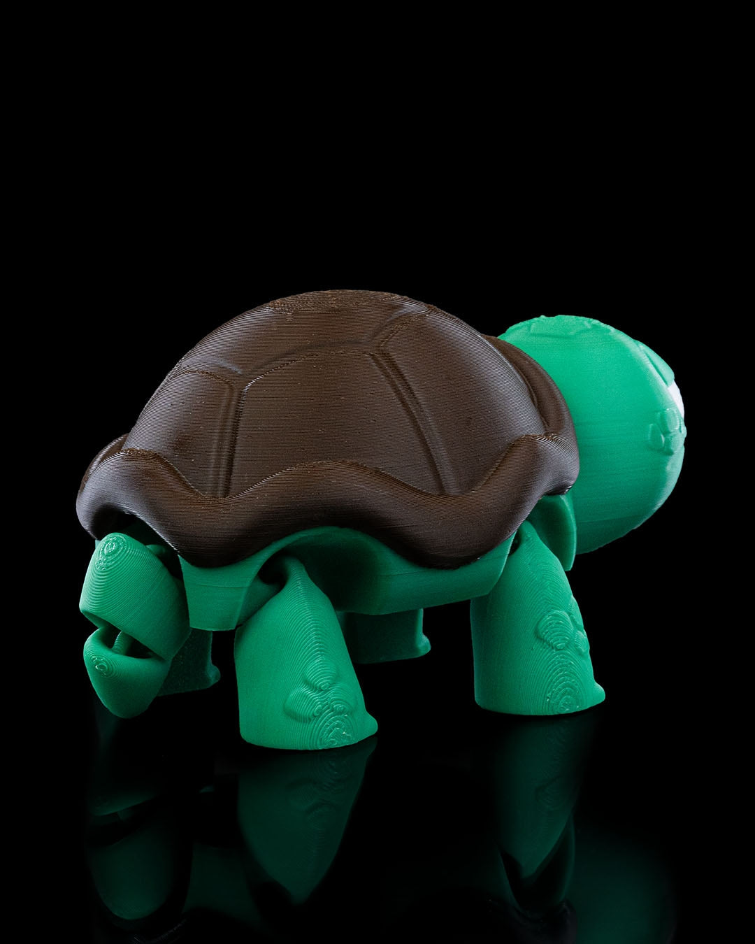 Not Impressed Turtle