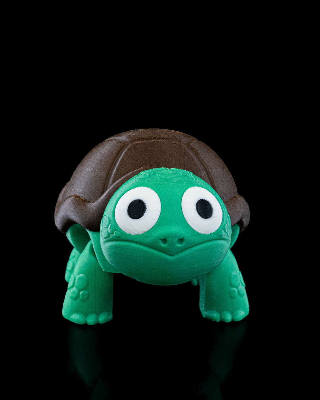 Not Impressed Turtle