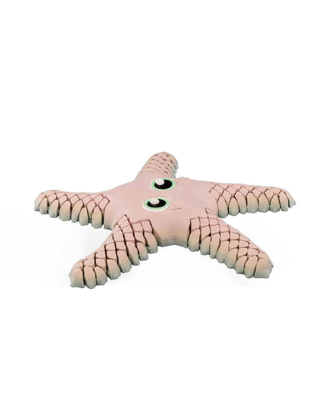 Sandy sea star